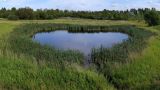 Окрестности Пудости, image of landscape/habitat.