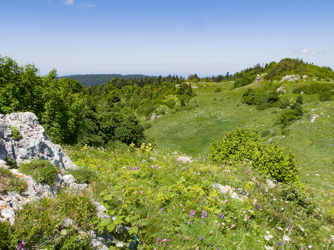 Черногор, image of landscape/habitat.