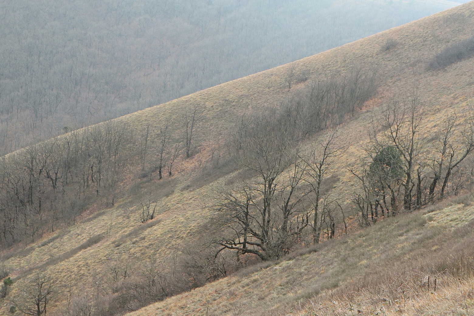 Большой Маркотх, image of landscape/habitat.