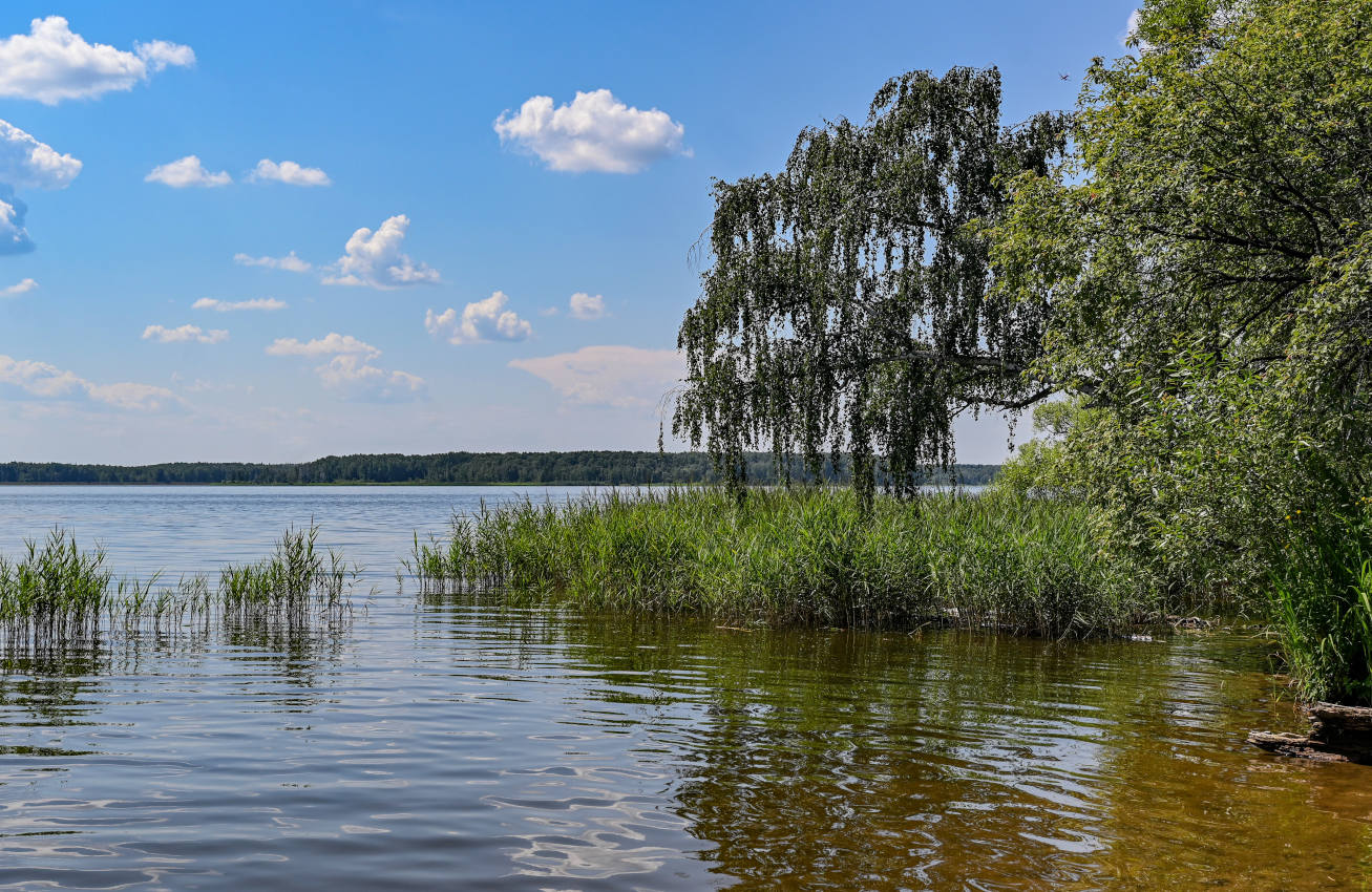 Учинское водохранилище, image of landscape/habitat.