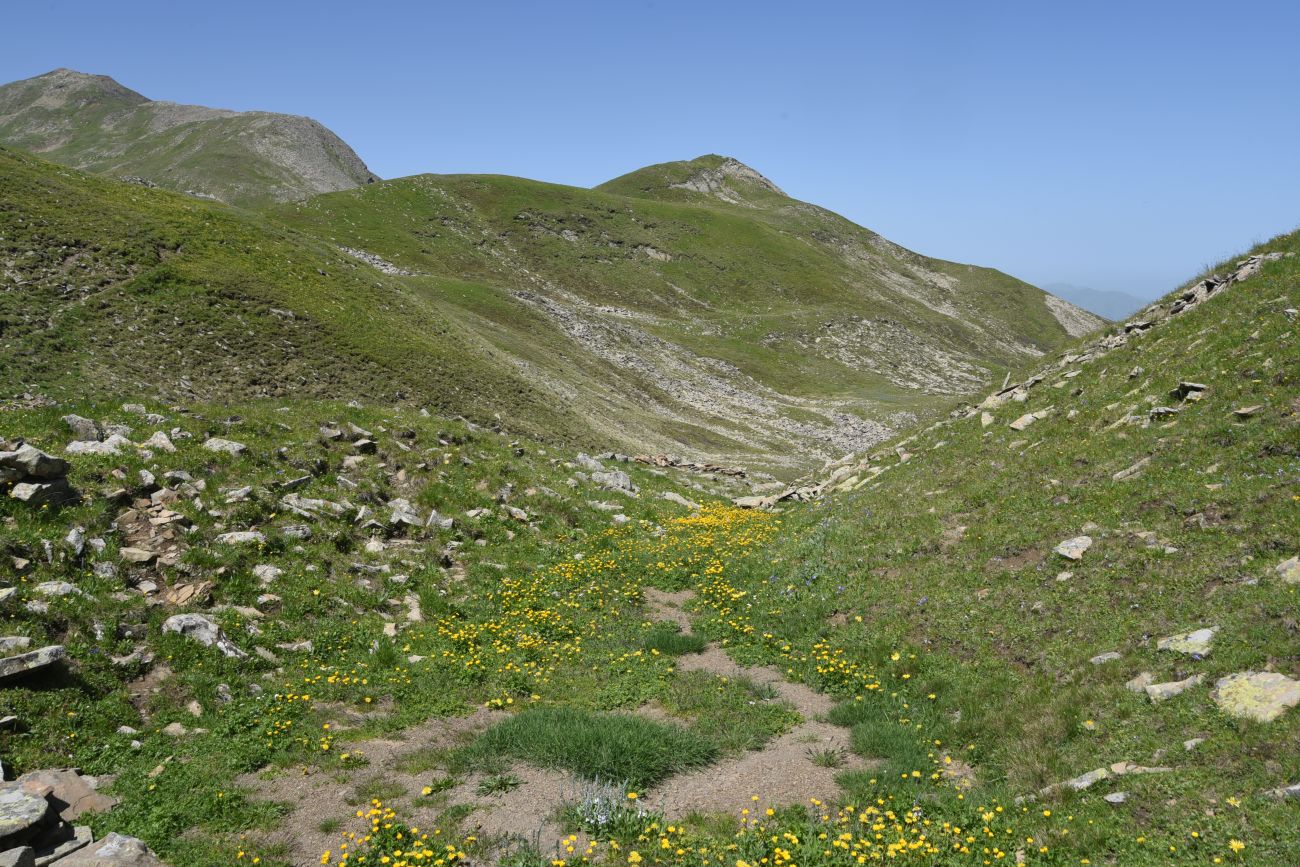 3 км от Цумандинского перевала, image of landscape/habitat.