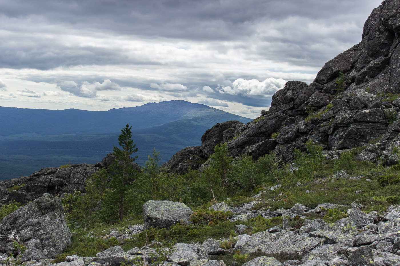 Серебрянский камень, image of landscape/habitat.