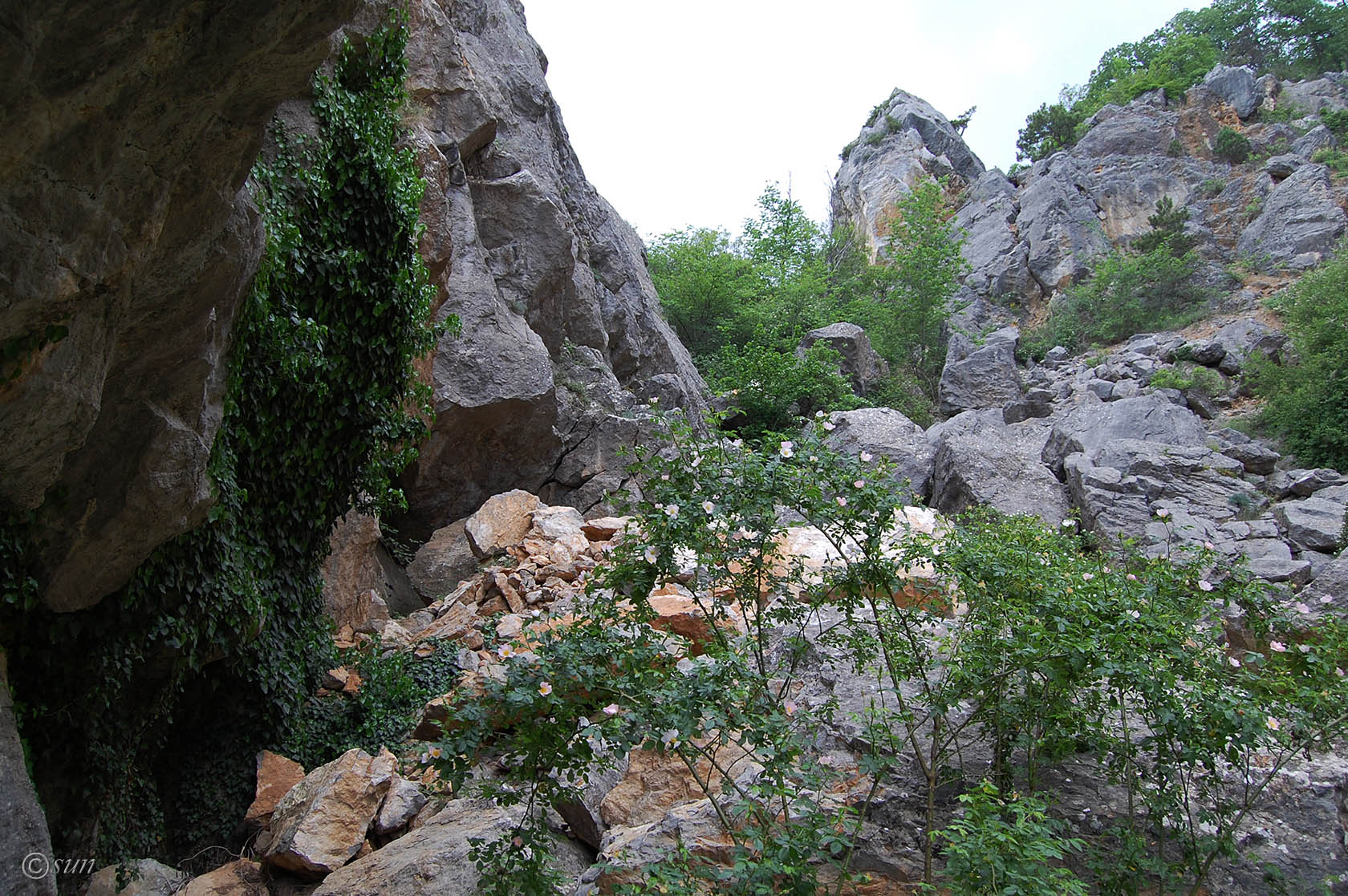 Никитская расселина, изображение ландшафта.