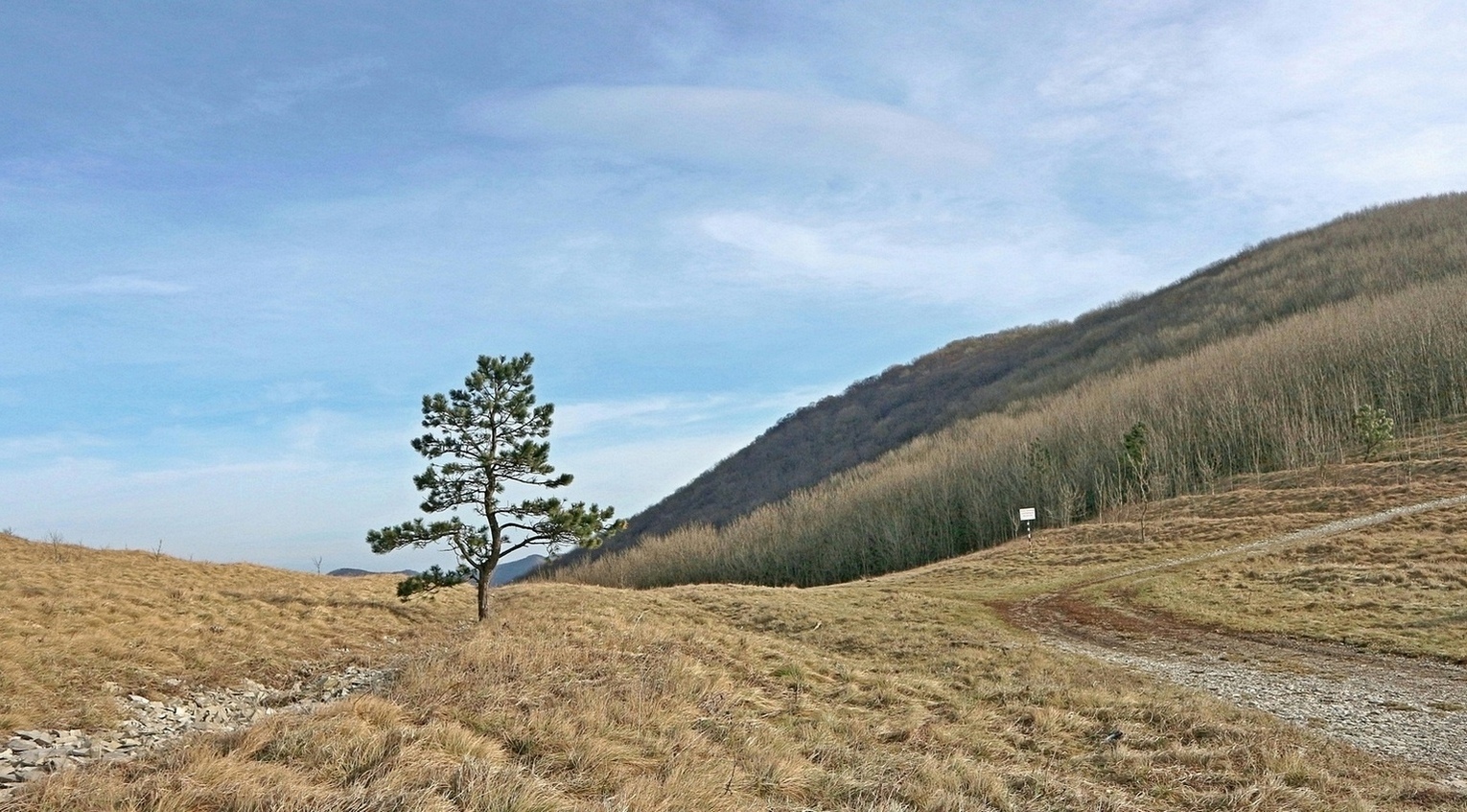 Большой Маркотх, image of landscape/habitat.