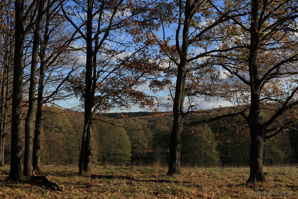 Дубна и окрестности, image of landscape/habitat.