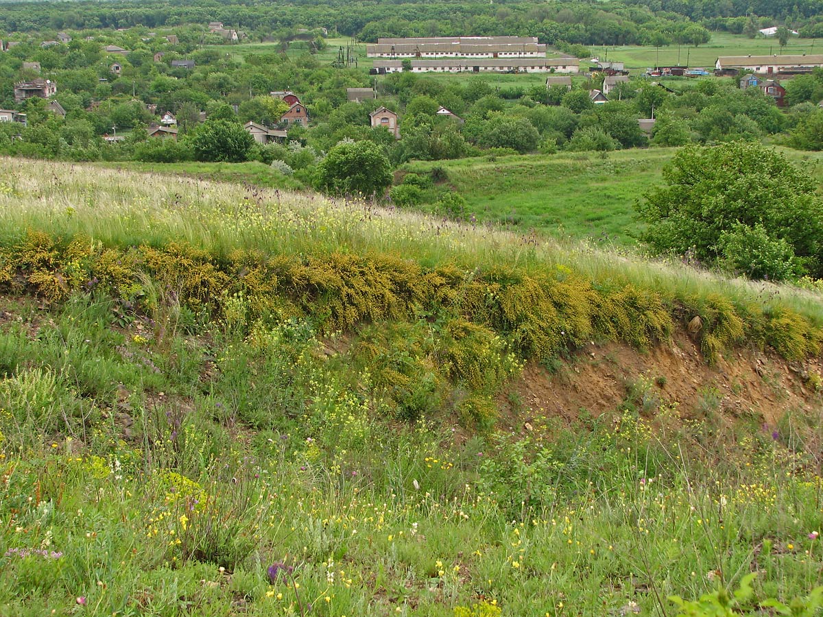 "Ларинский", image of landscape/habitat.