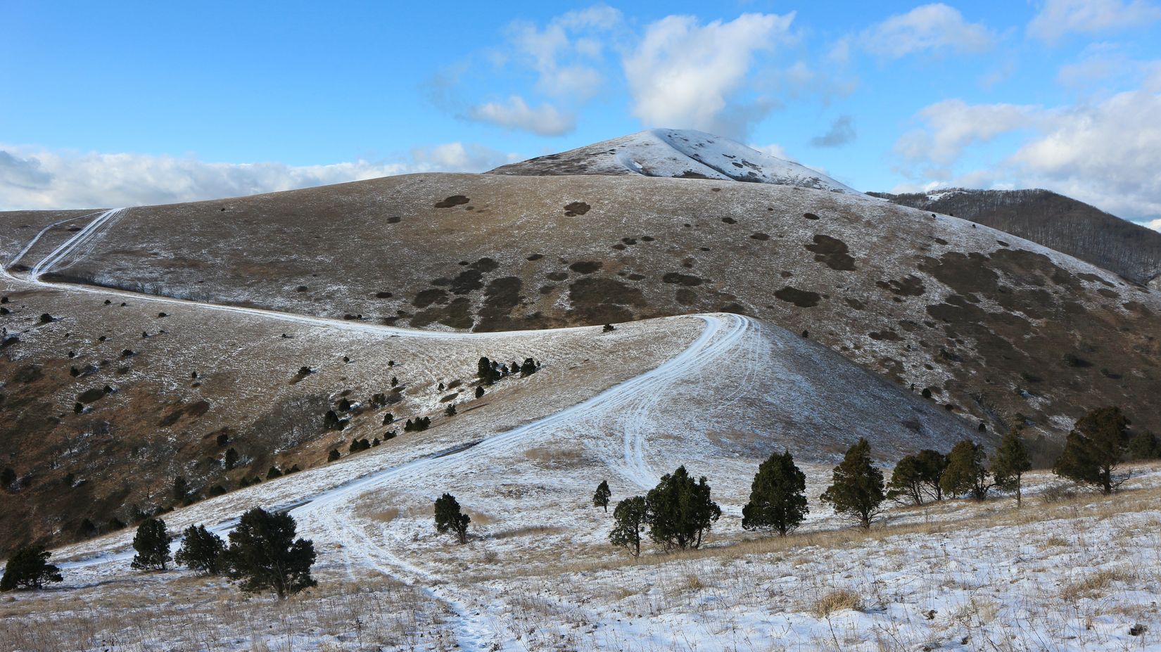 Отроги горы Совхозная, image of landscape/habitat.