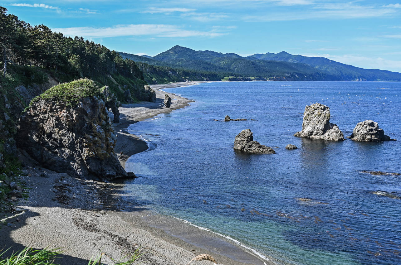 Мыс Великан, image of landscape/habitat.