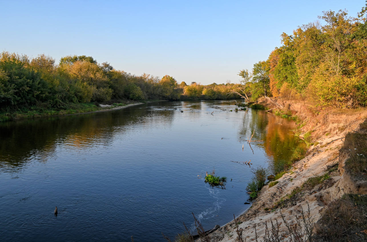 Окрестности села Марково, image of landscape/habitat.