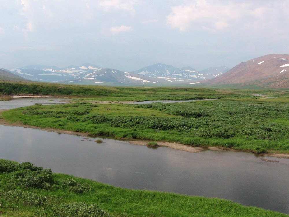 Большая Лагорта, image of landscape/habitat.