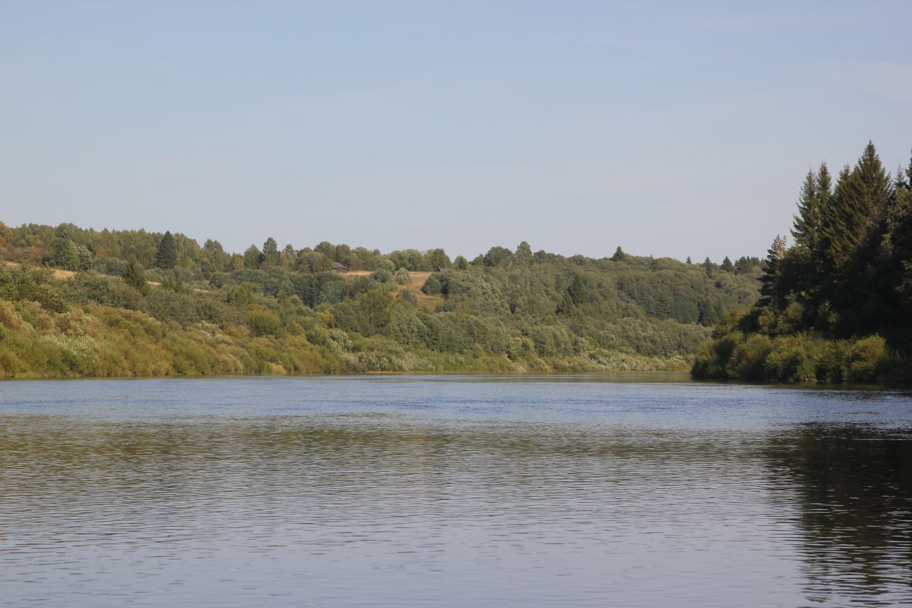 Окрестности Вяльцево, image of landscape/habitat.