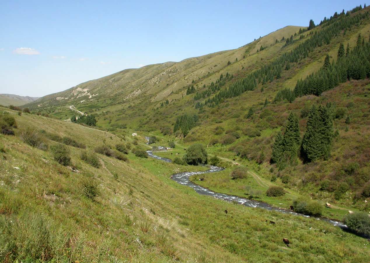 Шет-Мерке, image of landscape/habitat.