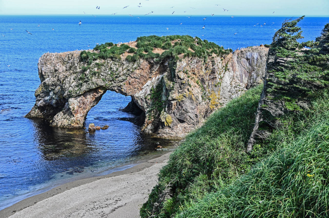 Мыс Великан, image of landscape/habitat.