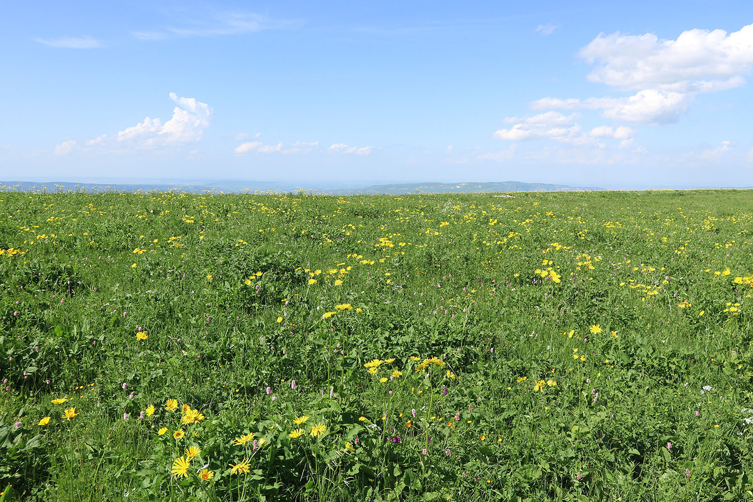 Джисса, image of landscape/habitat.