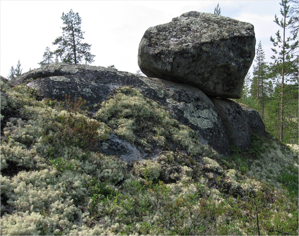 Бараки Кульйок, image of landscape/habitat.