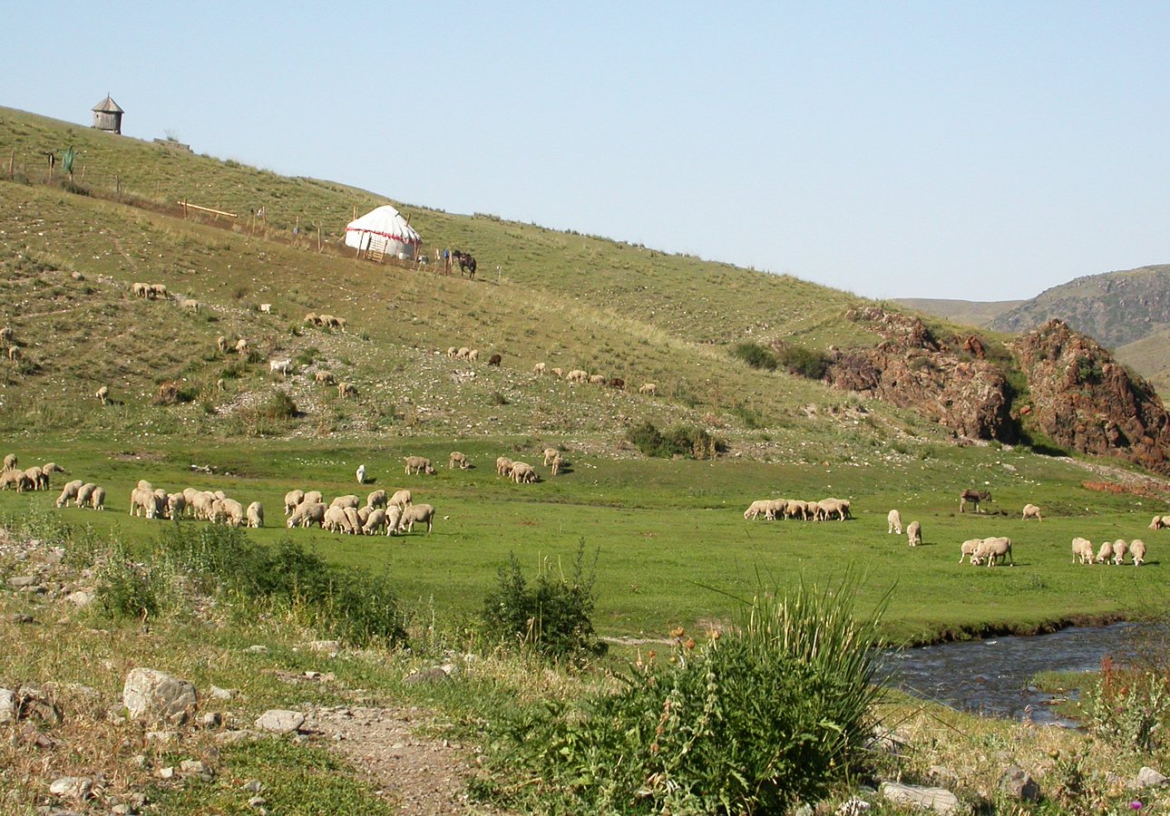 джамбульская область казахстан