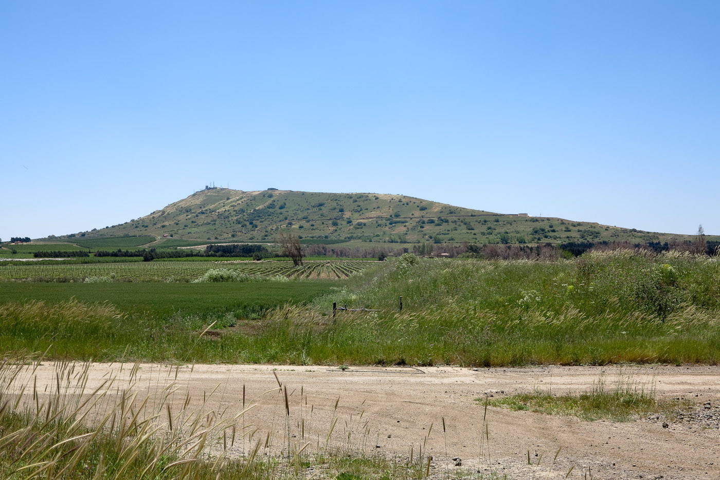 Голанские высоты, image of landscape/habitat.