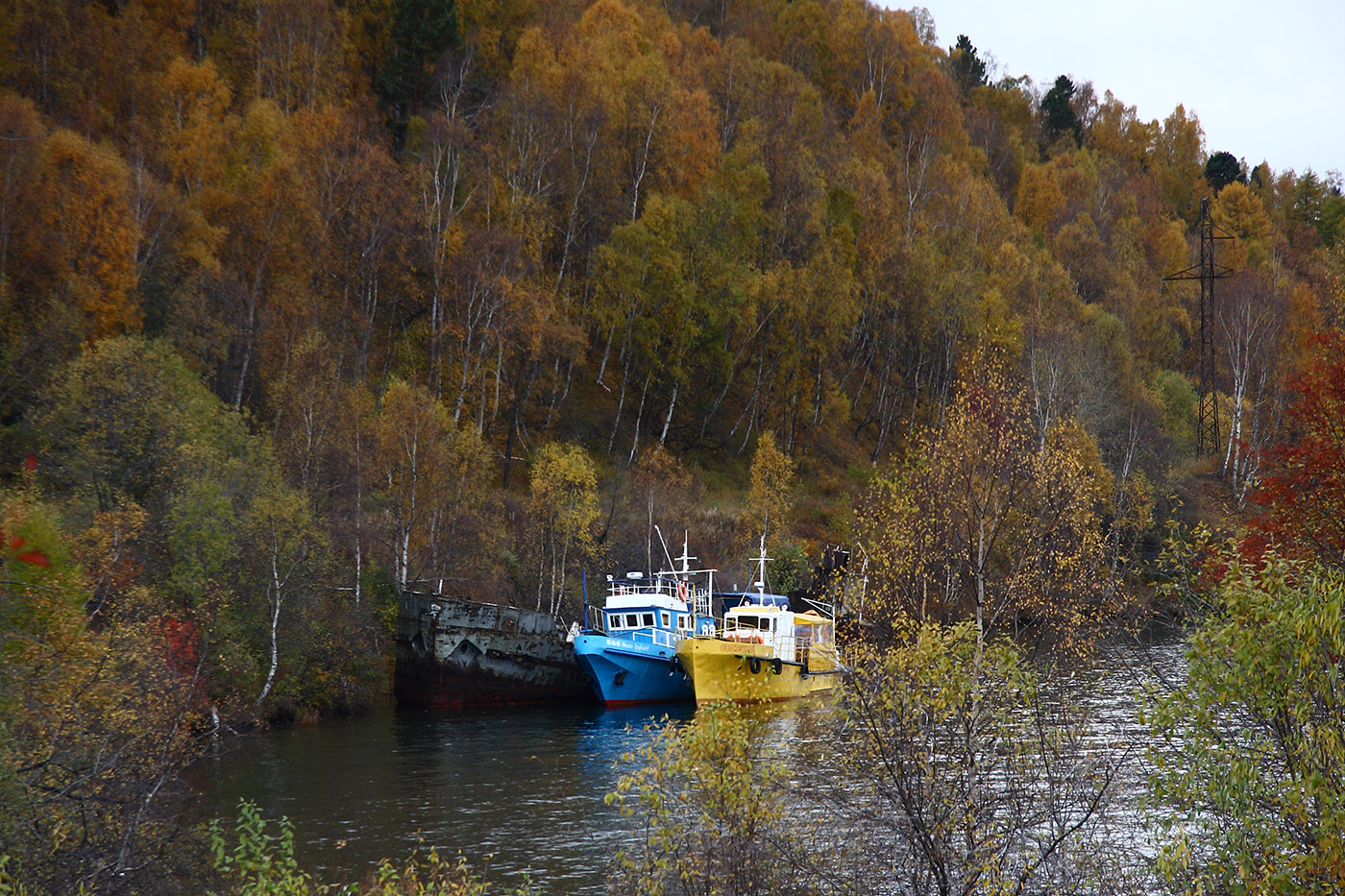 Порт Байкал, image of landscape/habitat.