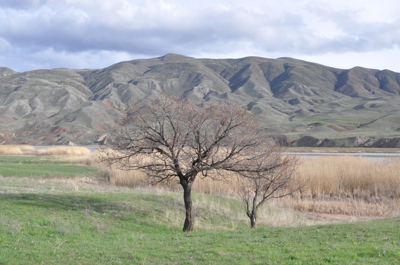 Окрестности мечети Айдин Кавак, image of landscape/habitat.