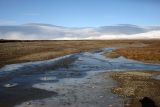 Урочище Звёздный, image of landscape/habitat.