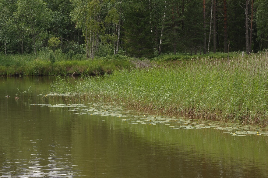 Деревня Кравотынь и окрестности, изображение ландшафта.