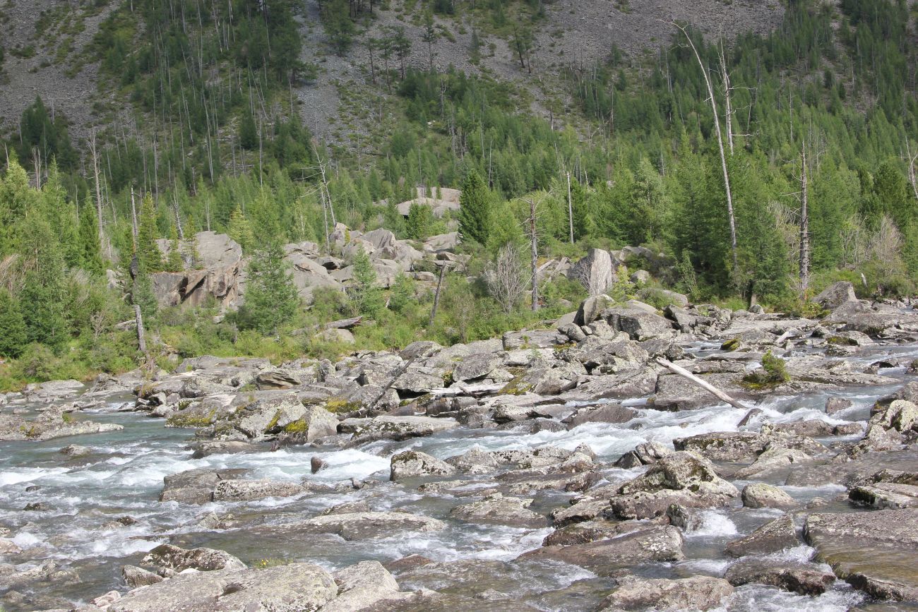 Урочище Шумы, image of landscape/habitat.