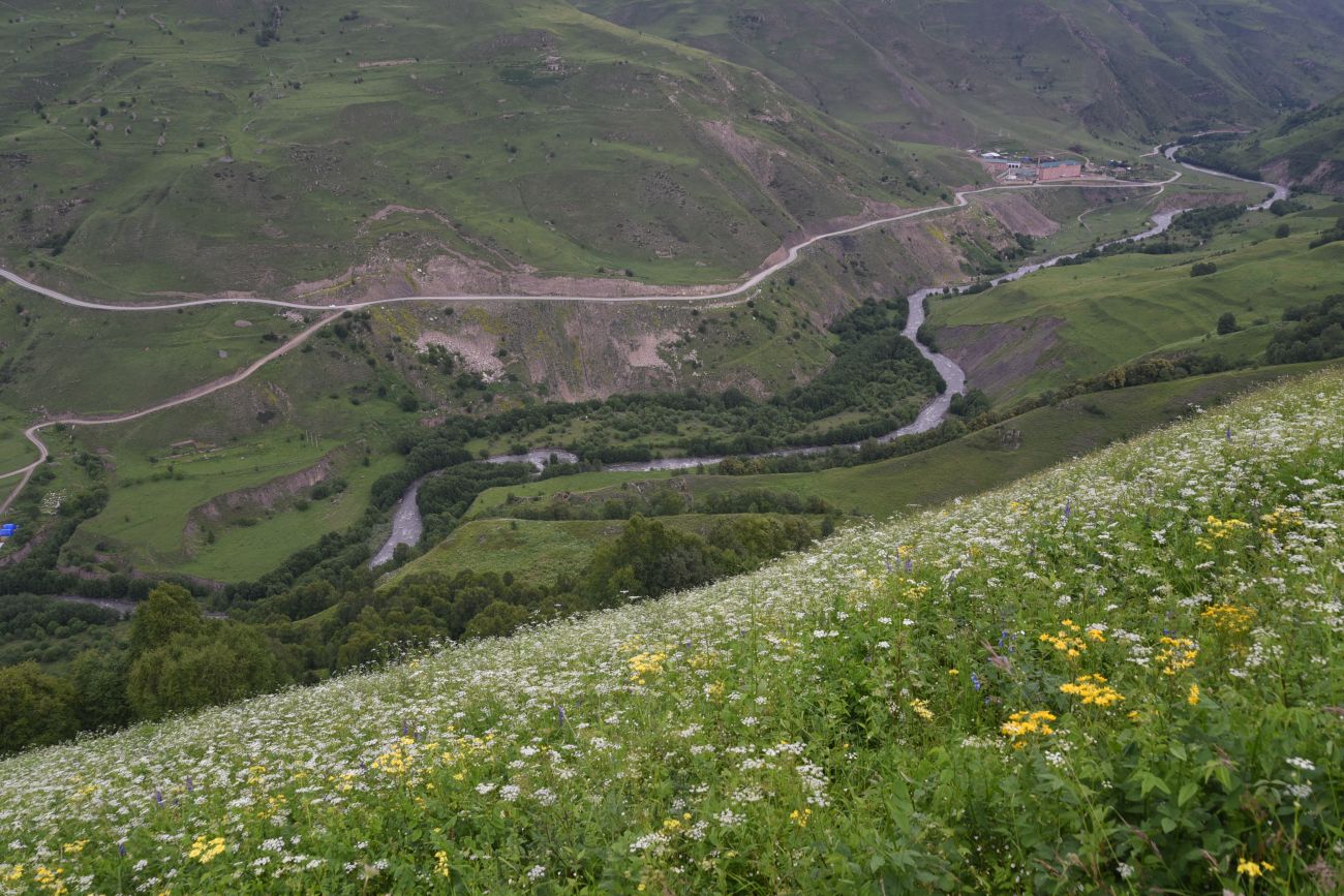 Мечеть Хакмадой, image of landscape/habitat.