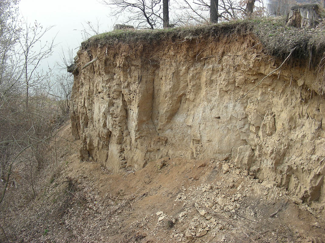 Устье-Воронка, image of landscape/habitat.