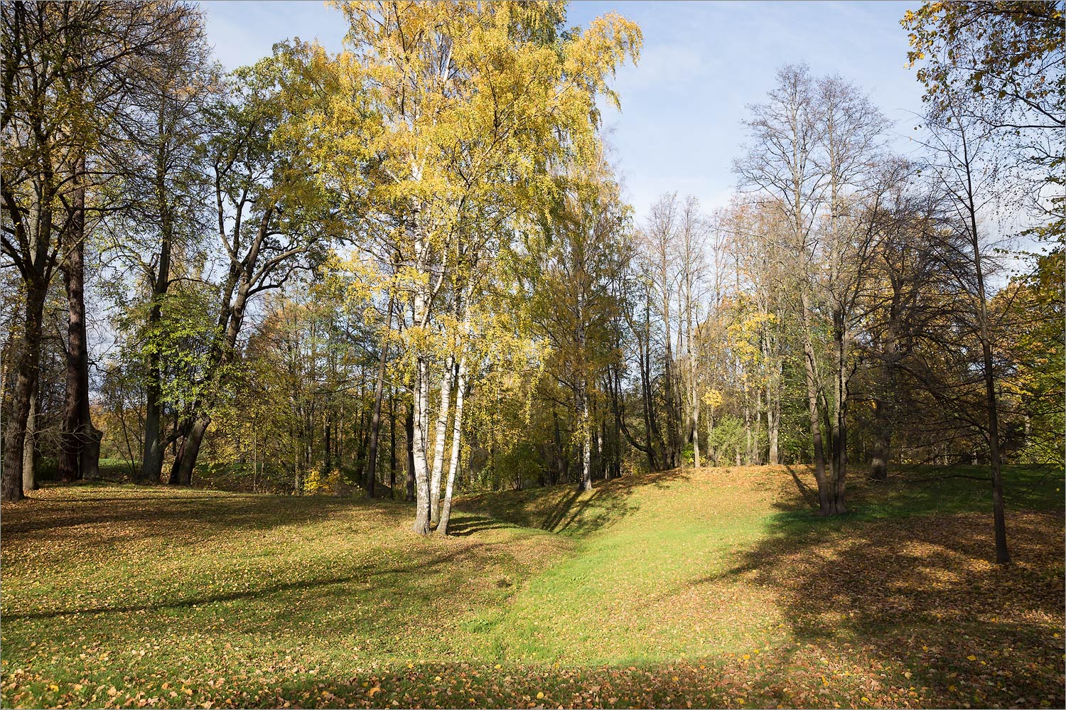 Парк "Александрия", image of landscape/habitat.