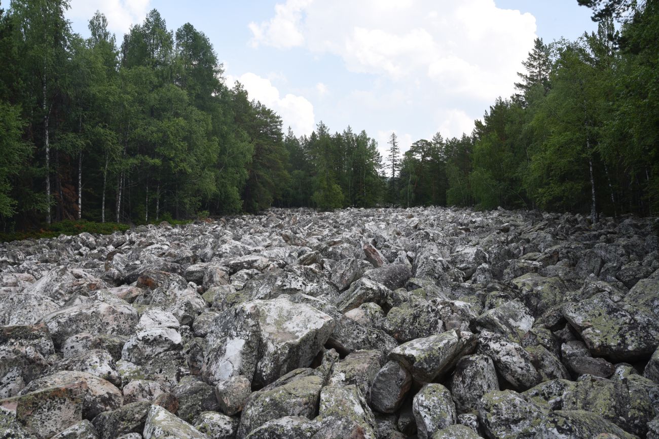 Урочище Каменная Река, image of landscape/habitat.