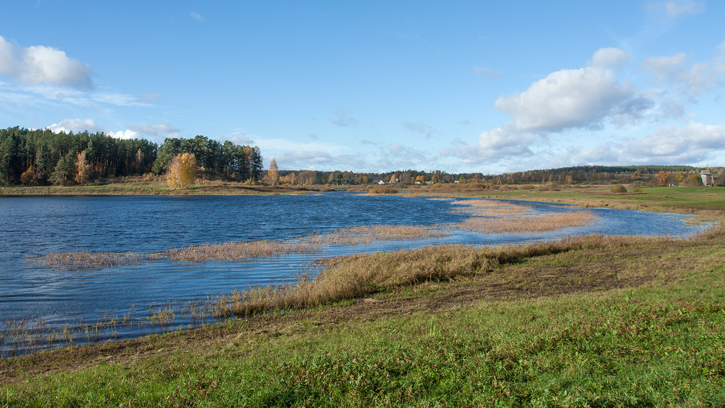 Михайловское, image of landscape/habitat.