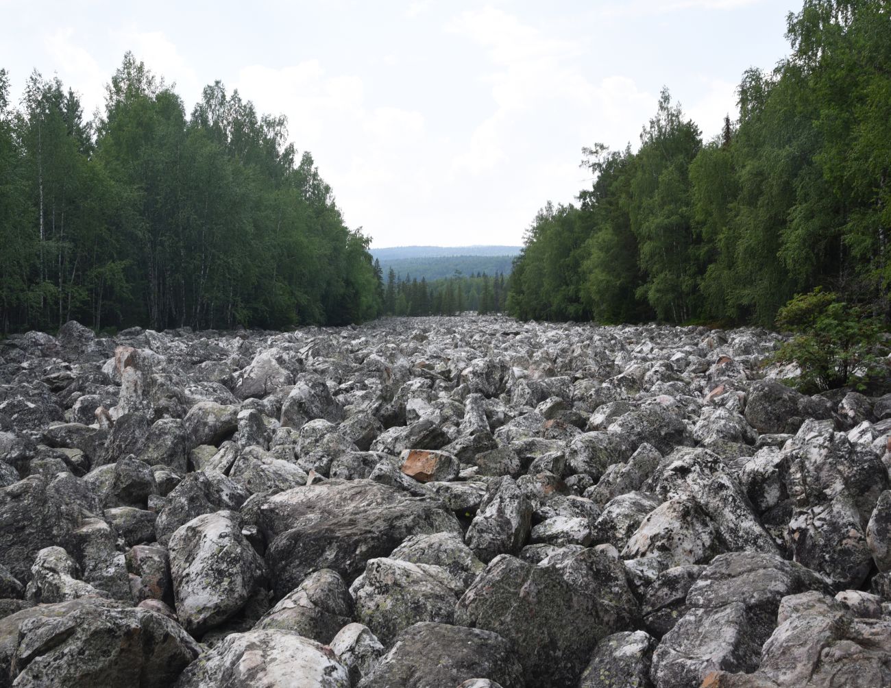 Урочище Каменная Река, image of landscape/habitat.