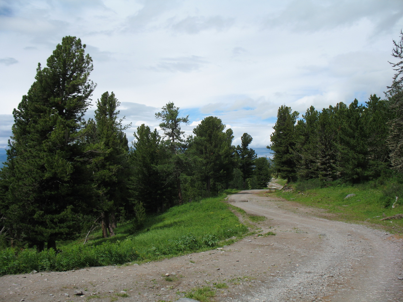 Перевал Бурхат, image of landscape/habitat.