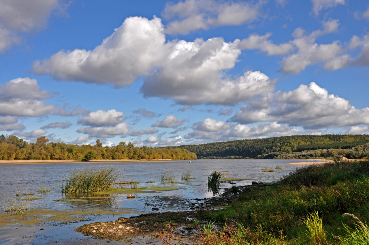 Окрестности села Клишино, image of landscape/habitat.