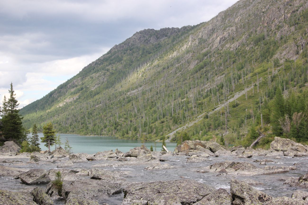 Урочище Шумы, image of landscape/habitat.