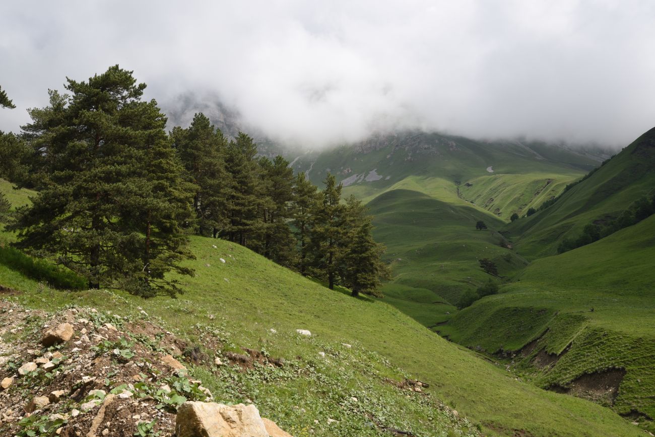 Окрестности урочища Оасег, image of landscape/habitat.