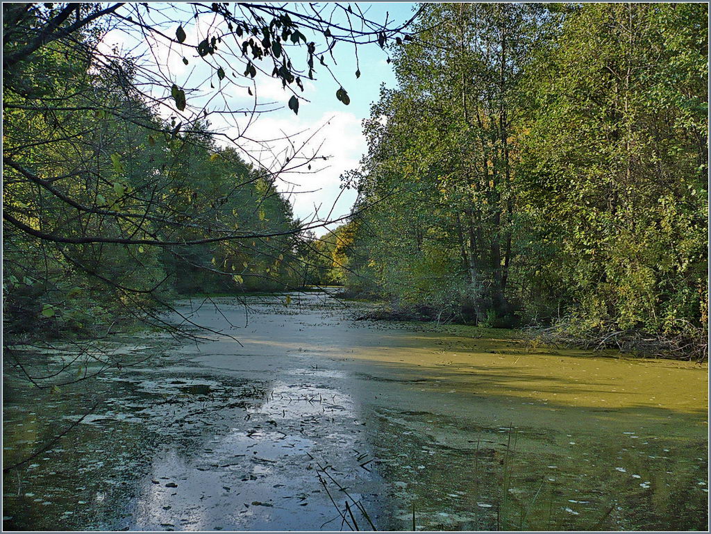 Село Наваты, image of landscape/habitat.