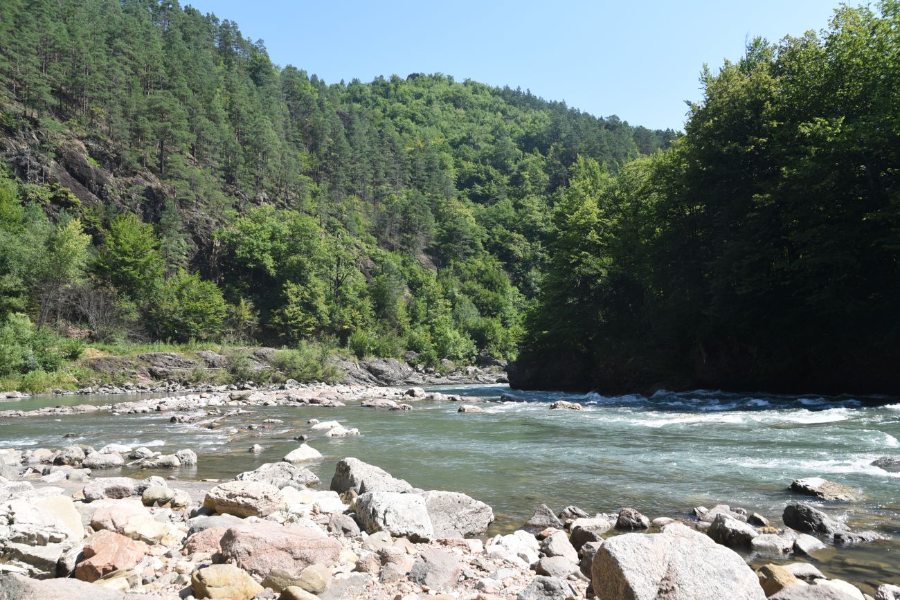 Урочище Блокгауз, image of landscape/habitat.