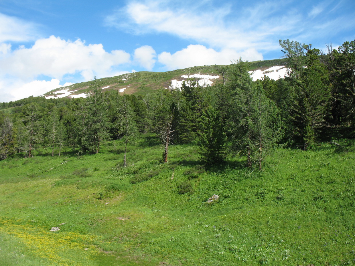 Перевал Бурхат, image of landscape/habitat.