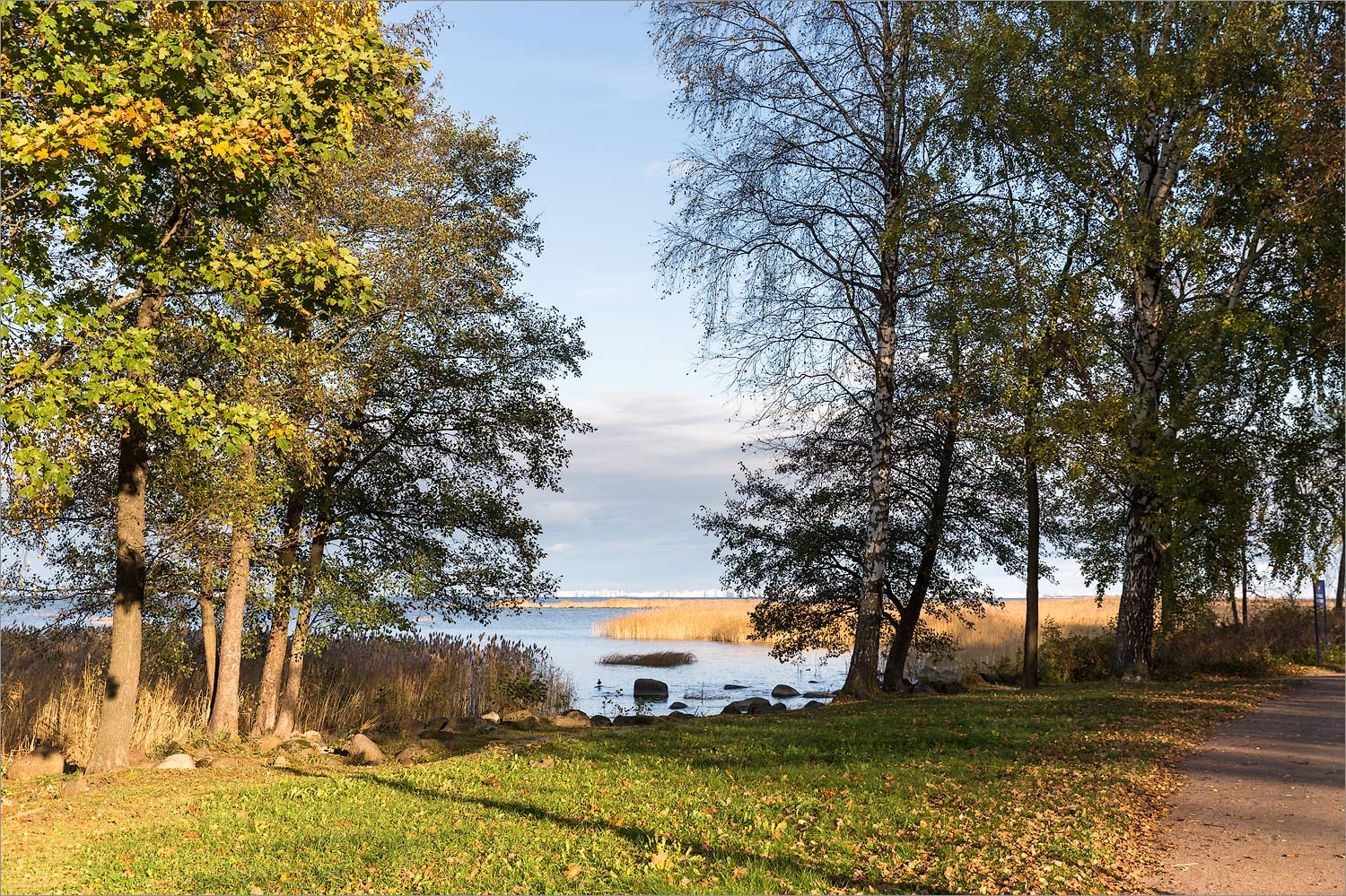 Парк "Александрия", image of landscape/habitat.