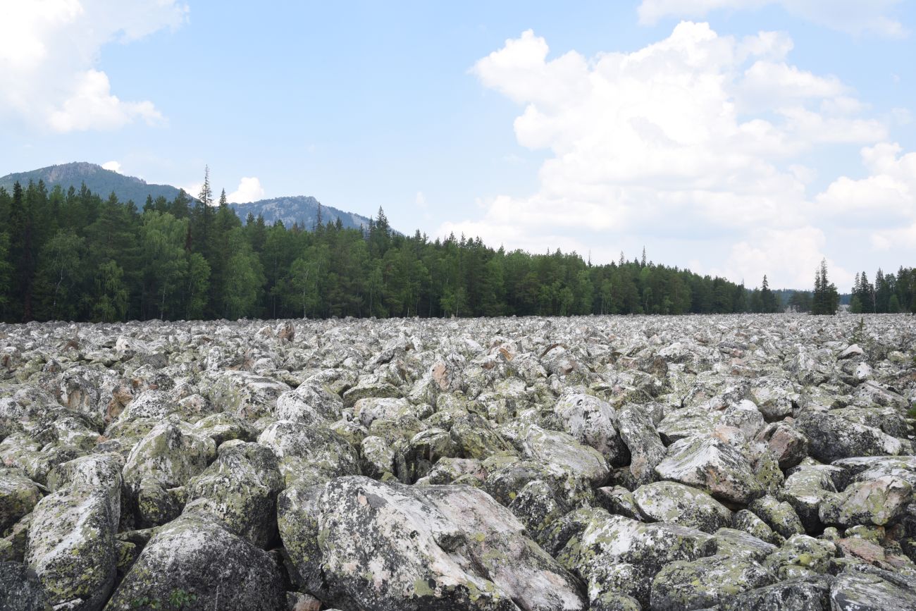 Урочище Каменная Река, image of landscape/habitat.