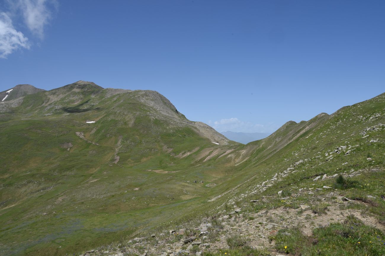 4 км от Цумандинского перевала, image of landscape/habitat.