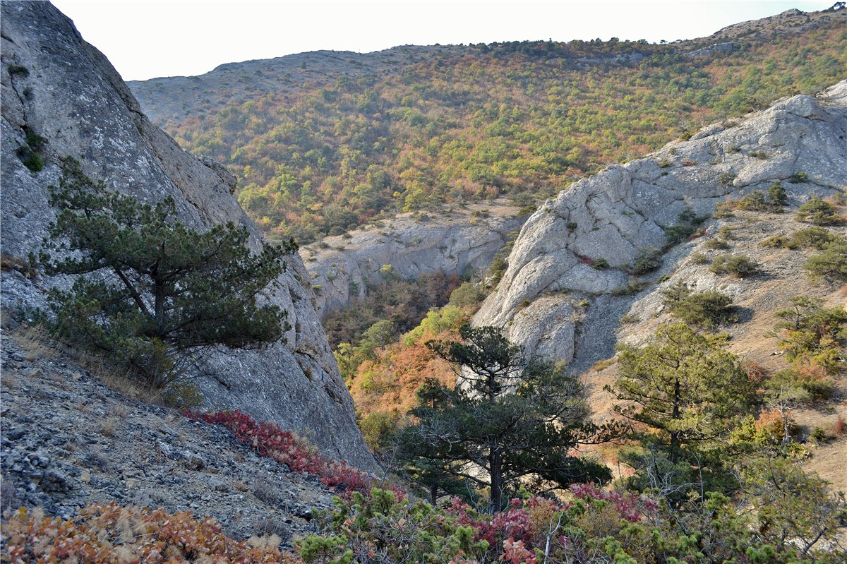 Перчем, image of landscape/habitat.