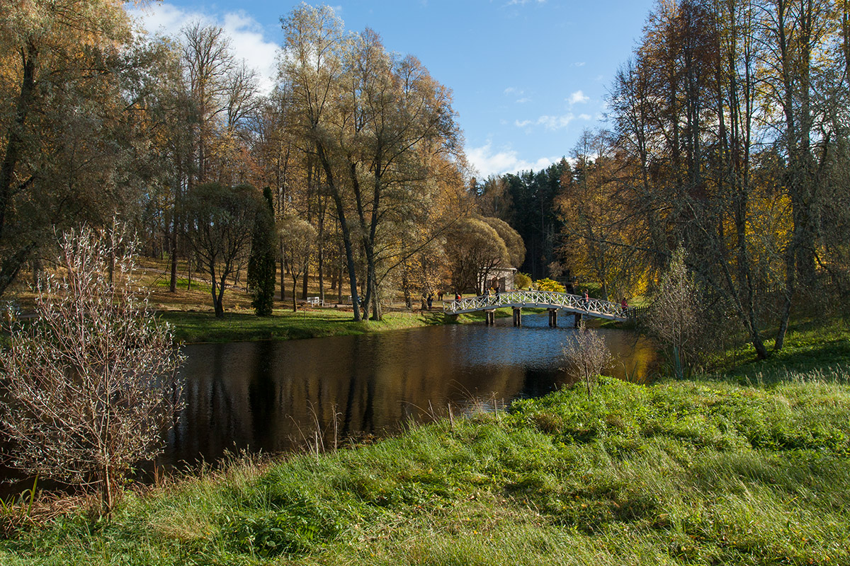 Михайловское, image of landscape/habitat.