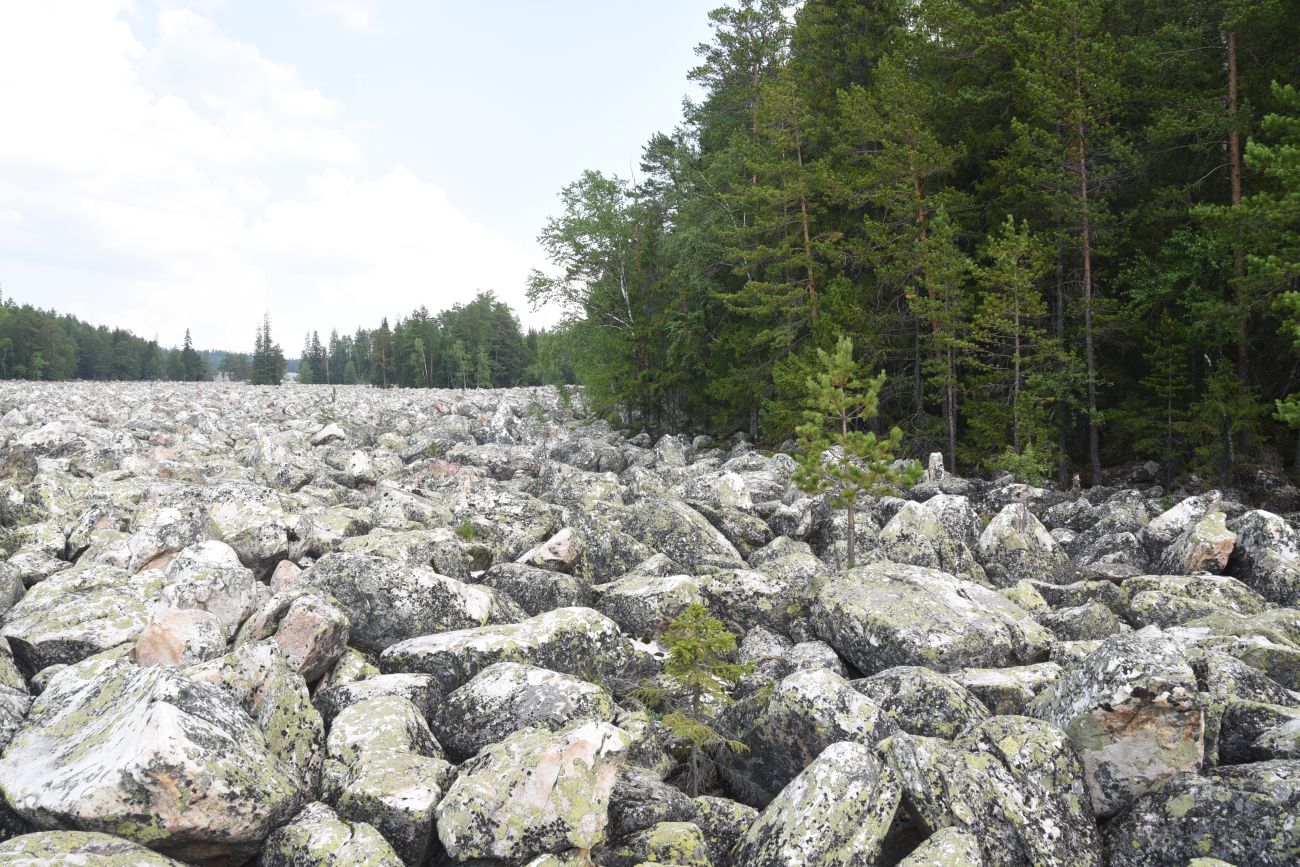 Урочище Каменная Река, image of landscape/habitat.