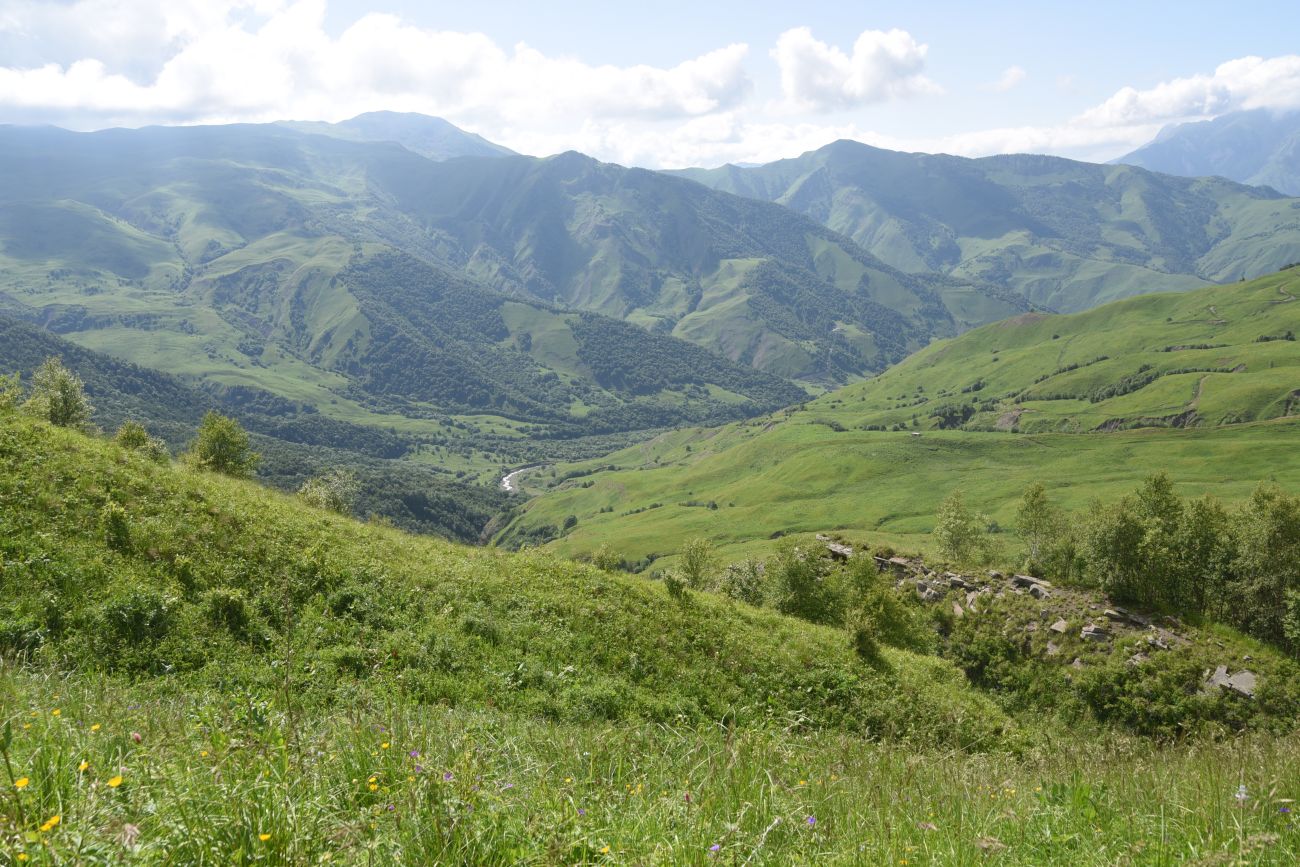 Селение Чайры и окрестности, image of landscape/habitat.