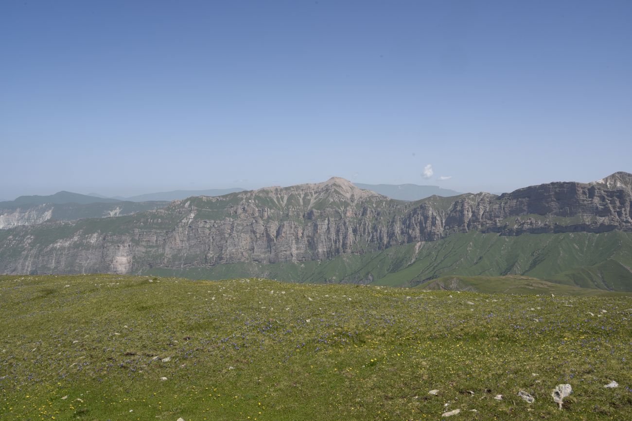 4 км от Цумандинского перевала, image of landscape/habitat.