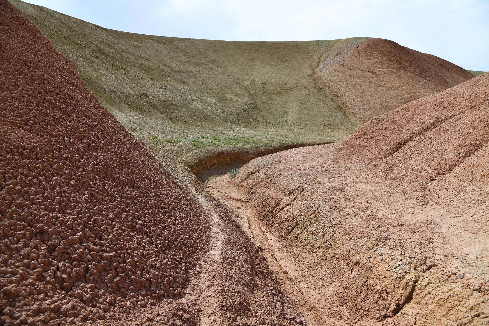 Исфара, image of landscape/habitat.
