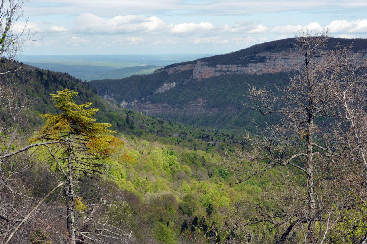 Гора Зауда, image of landscape/habitat.