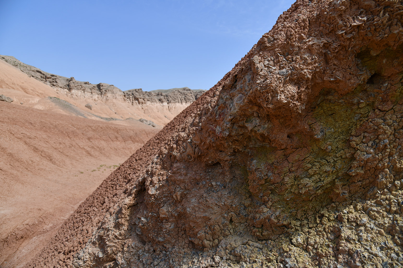 Исфара, image of landscape/habitat.